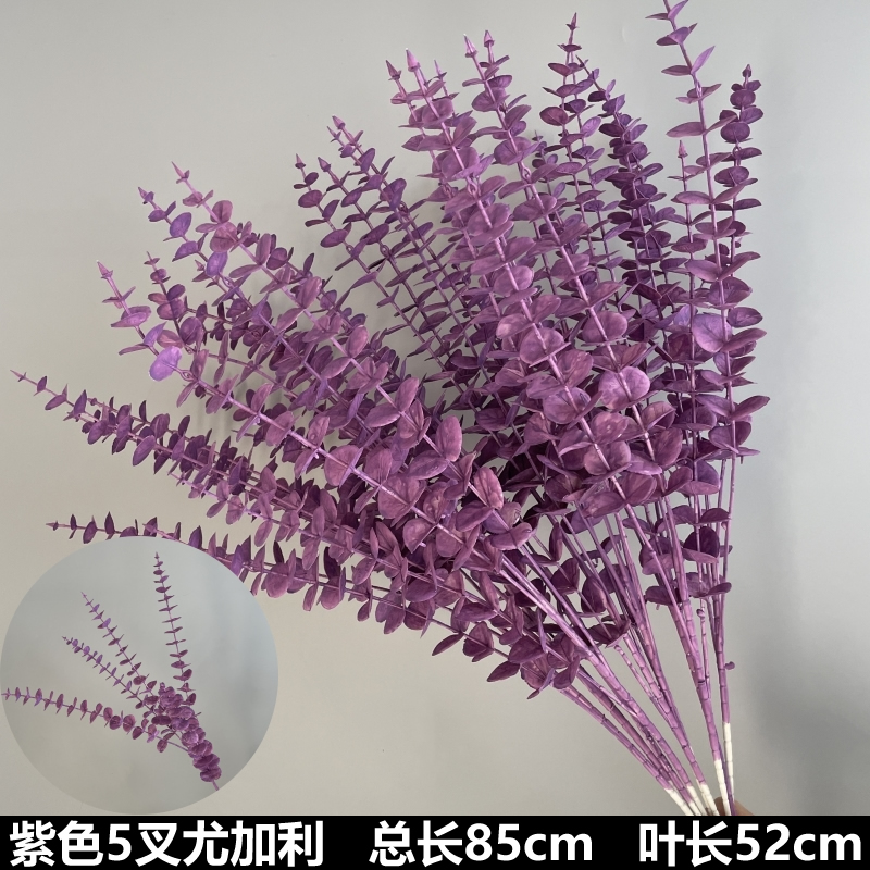 보라색 유칼립투스