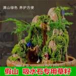 假山草种子山石草盆景草种子吸水石草籽珍珠草幸运草文竹种子四季