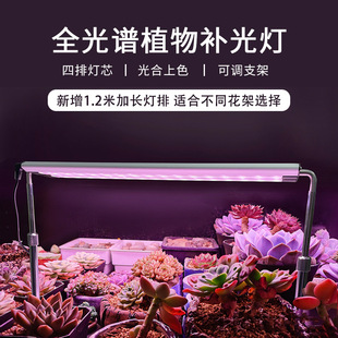 Special led fleshy coloring anti-apprentice fill light household full spectrum plant light solar seedling plant growth light