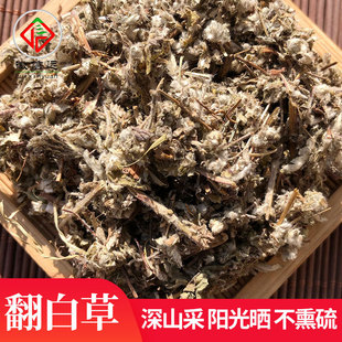 �S�һ����h������ș�Ĳ�Ѭ�����؛���ײݵ��ص��ط��ײ�