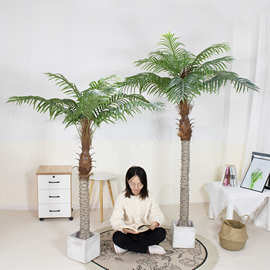 仿真椰子树椰子针葵树园林景观装饰热带绿植盆栽人造棕榈小假葵树