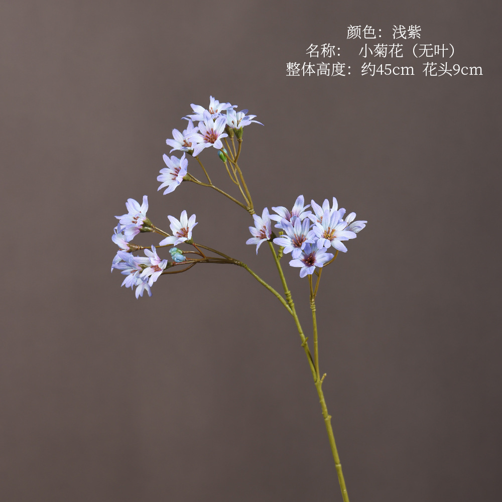 Small chrysanthemum (no leaves) - light purple