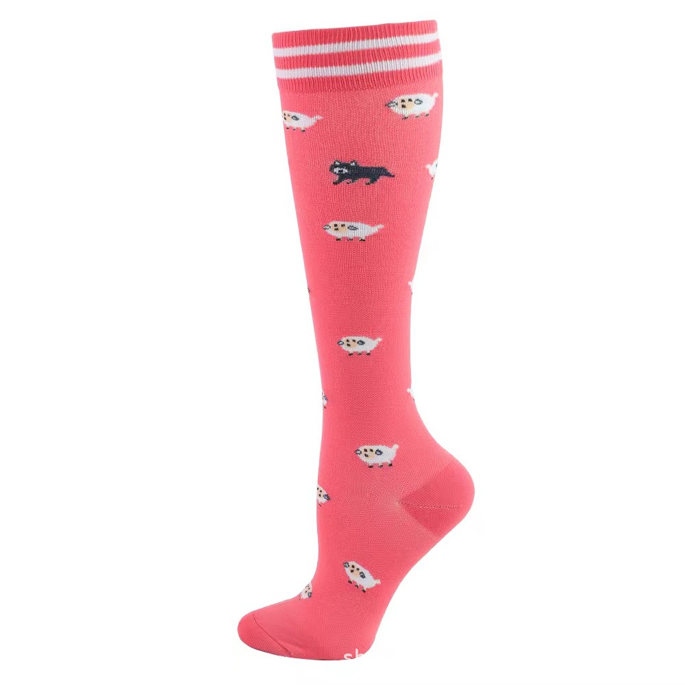 줄무늬 장미 빛 양