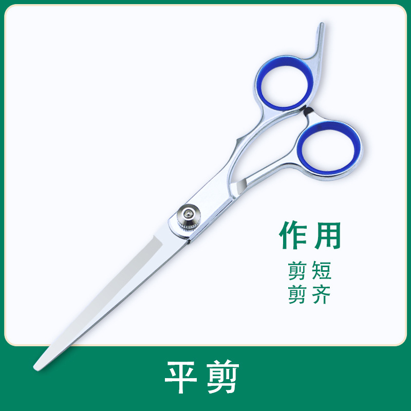 중간 범위 분할 플랫 전단 (파란색 원 포함)