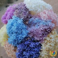 ?���������򻨸ɻ���֦���U����ؐ�����Ƚ�������ϻ��ش󻨼t