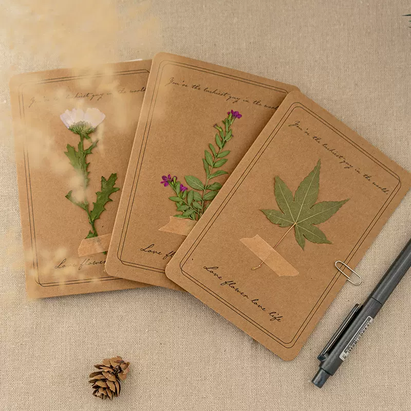 明信片复古ins风景治愈文艺干花贺卡插画情人节礼物祝福卡片