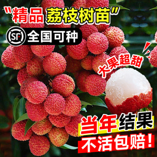 ������Y������֦���m�o�˹�ζ������������ЦŴ���ټ޽�ˮ������