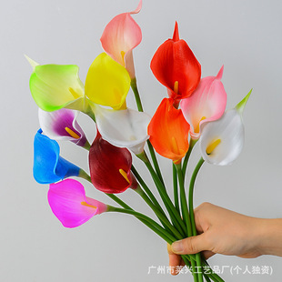 ����PU�R��ɏ�ٻ����滨�羳���Q�Ҿ��bzӰ�����ָ����l�S��