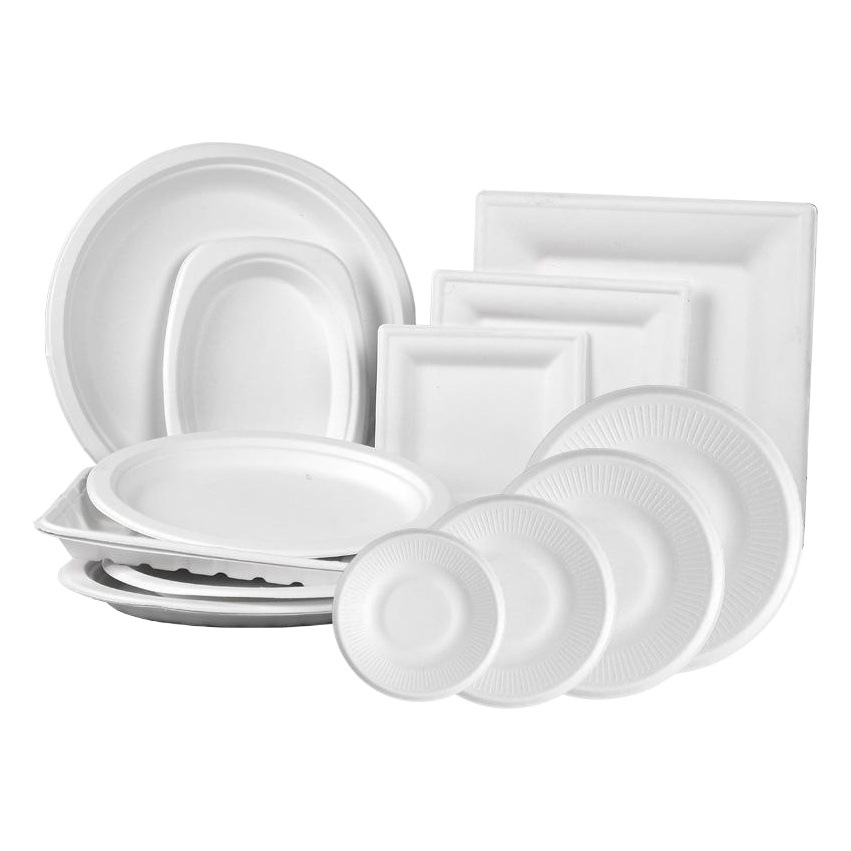 Disposable Paper Plate Sugar Cane Pulp Biodegradable Paper Plate Barbecue Birthday Cake Plate Thickeneded Dinner Plate Art Painting Plate