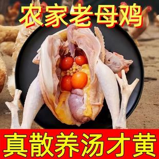 �S����ĸ�u�S��ֱ�N �SƤ�S���u�r���u500������ɢ�B�F���l؛