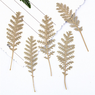 ���y������l�ɻ�����Ѻ���b�����~ֲ��˱�����~�滨diy����
