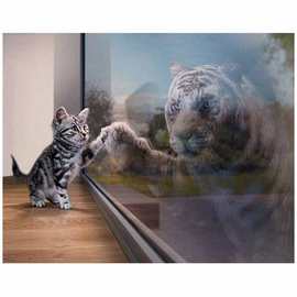 无框DIY数字油画镜子猫大幅动物静物填色纯手绘装饰画客厅装饰