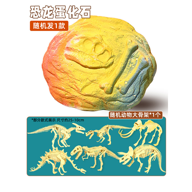 [공룡] 라운드 (50 pc/box)