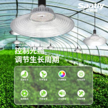 ȫVLEDֲ̫a߲˲ݮﻨֲ҃L