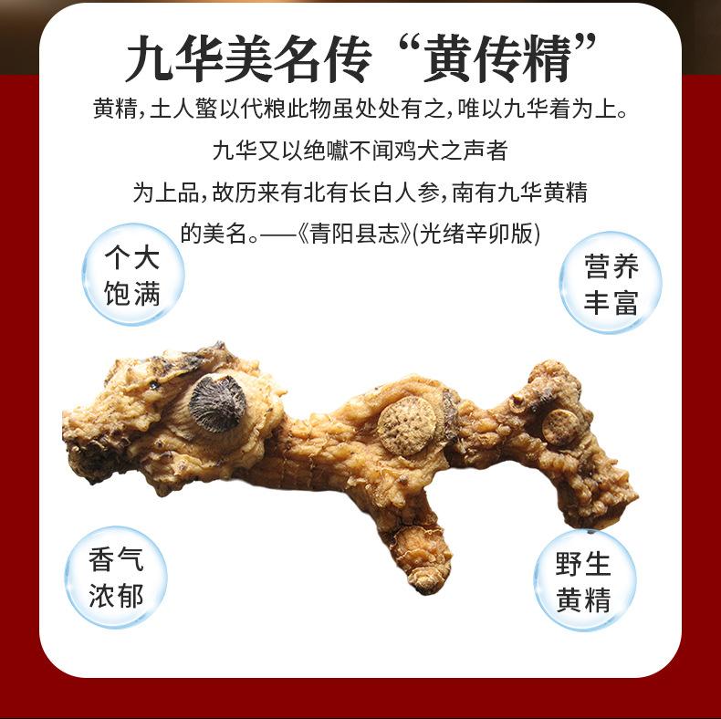 Wild Huang Jing Dried Polygonatum Slices 500g Steamed and Sun-Dried for Tea Wine and Soup quality and texture