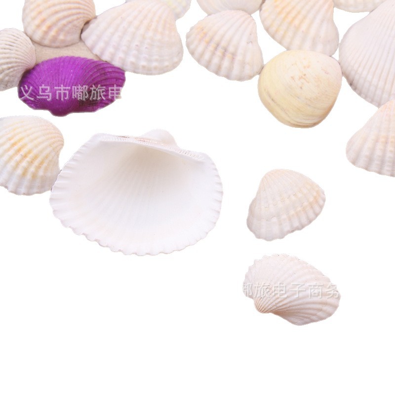 Shell Hailu Aquarium Fish Tank Decoration Photography Prop…