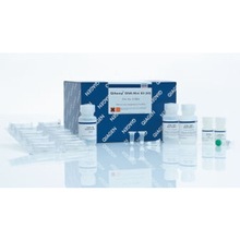 51304 P QIAamp DNA Mini Kit (50)MDNAԇ