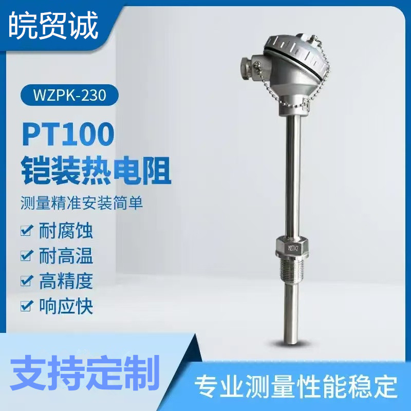 皖贸诚WZP-230热电阻 Pt100 l=1000mm M27*2 PT100