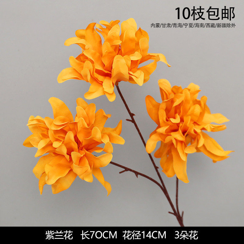 紫兰花