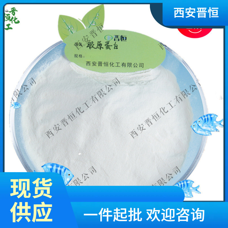 高含量90%胶原蛋白 牛骨胶原蛋白现货供应 1kg起订