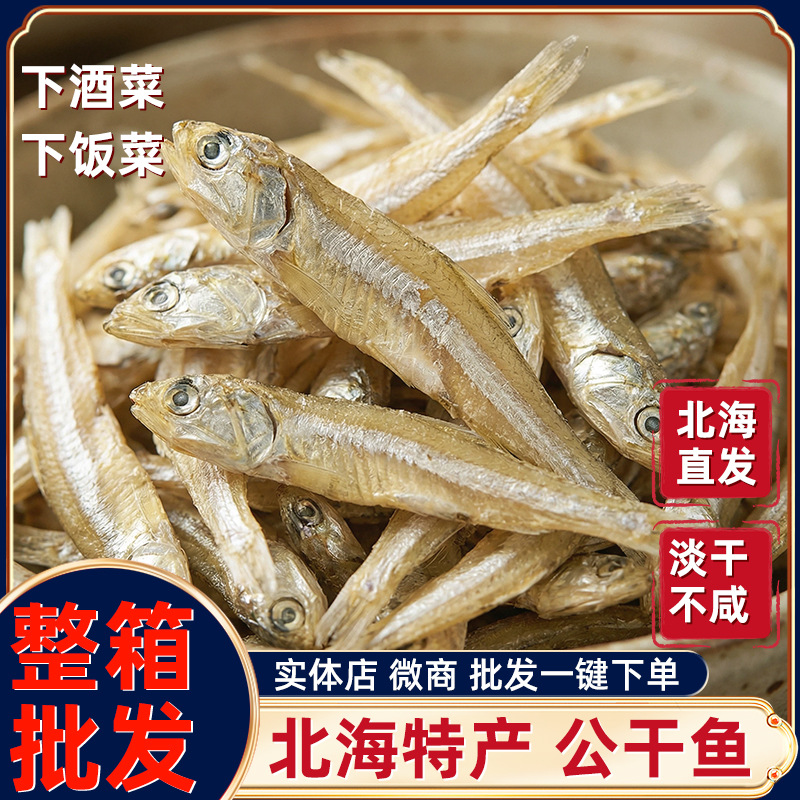 北海银鱼干下酒菜鱼干批货公干鱼下饭菜小鱼干海鲜干货工厂直发