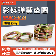 ̼僲\|_ڏɉ|ȦӺͽӏ|Ƭm5m6m10m12m14m24