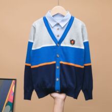春秋冬款男孩款中大童男童假两件儿童毛衣童装毛衣棉棉线衫