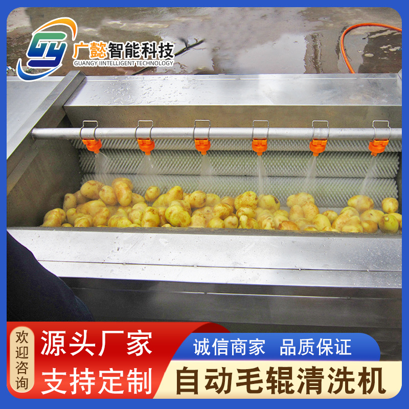 紫薯地瓜去皮机 芋头毛辊清洗设备 商用槟榔毛刷清洗机 洗菜机