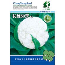 �L��50���ɻ��˷N�������๣С���������Ժÿ����͝��M���߲˷N��