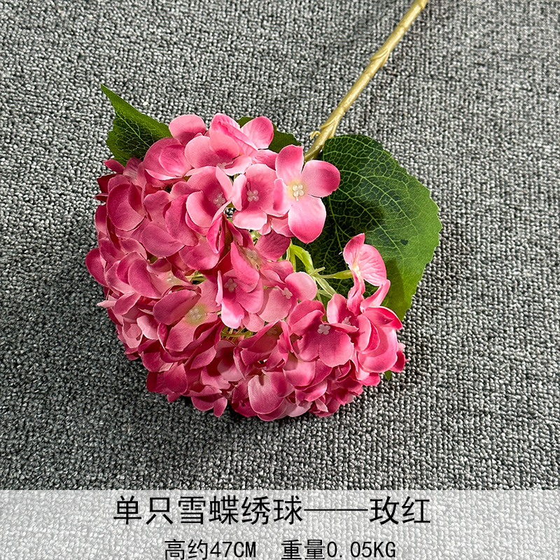 Sola nieve mariposa Hortensia Rosa rojo