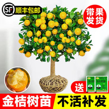 ��ۘ������Ԏ�����ʳ�ô�Ƥ���ļ����Ә�������҃ȿ͏dͥԺֲ��