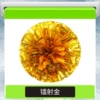 Ring Encrypted Laser Gold