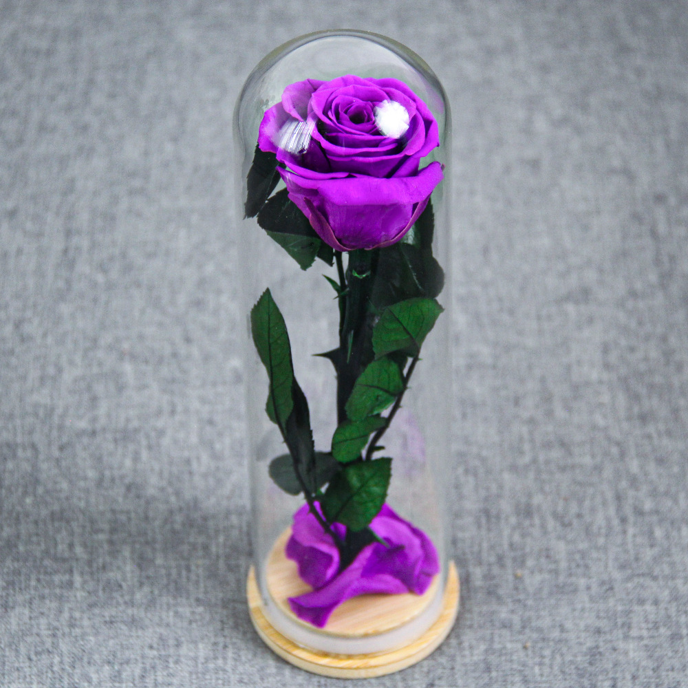 Flor inmortal Little Prince Star Sea Watchman una sola rama de rosa cubierta de vidrio Amazon Día de San Valentín Regalo del Día de la Madre