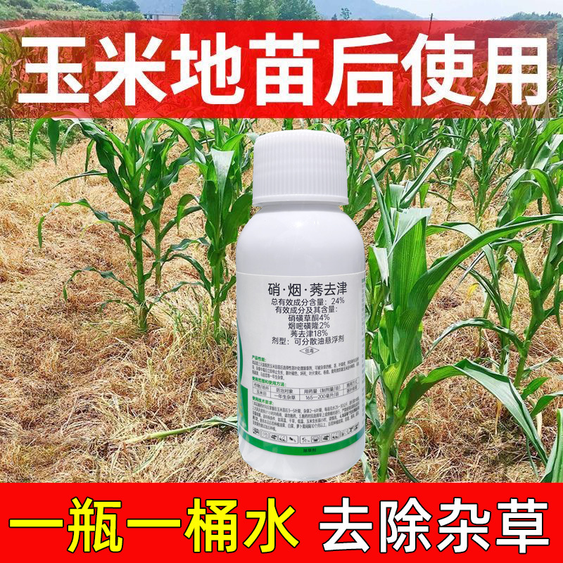 玉米苗后除草烂根剂封草剂硝磺莠去津玉米苗后除草烂根剂封闭农药