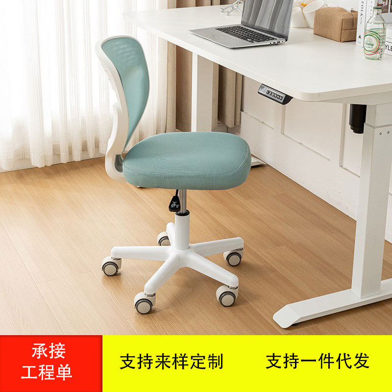 Children's Learning Chair Small Household Small Space Chair for Primary and Secondary School Students Special Writing Homework Learning Desk Chair