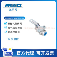 ����Rego����A2141A8Һ����̶�ʽ�����y��ˮ�Ӛ�C��ȫ�Д��y1��