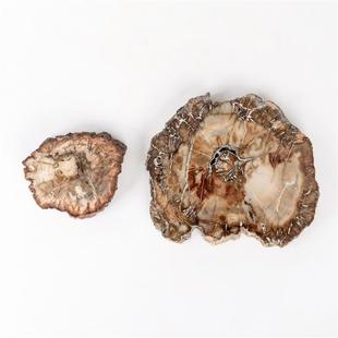 ��Ȼľ��ʯƬ�˱��L��Ƭ���|�Vʯ�˱�ԭʯ�[���b�Ʒ