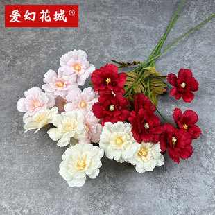 ����ٻ�8�^���Pĵ����ɫ��c���Ļ�Y���b��̈��W�t�ꙻ���쾰