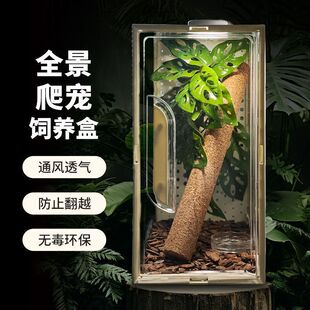 �䗫��B�н޽��،m��B��͸��͸���ռ{������������x���Bֳ��