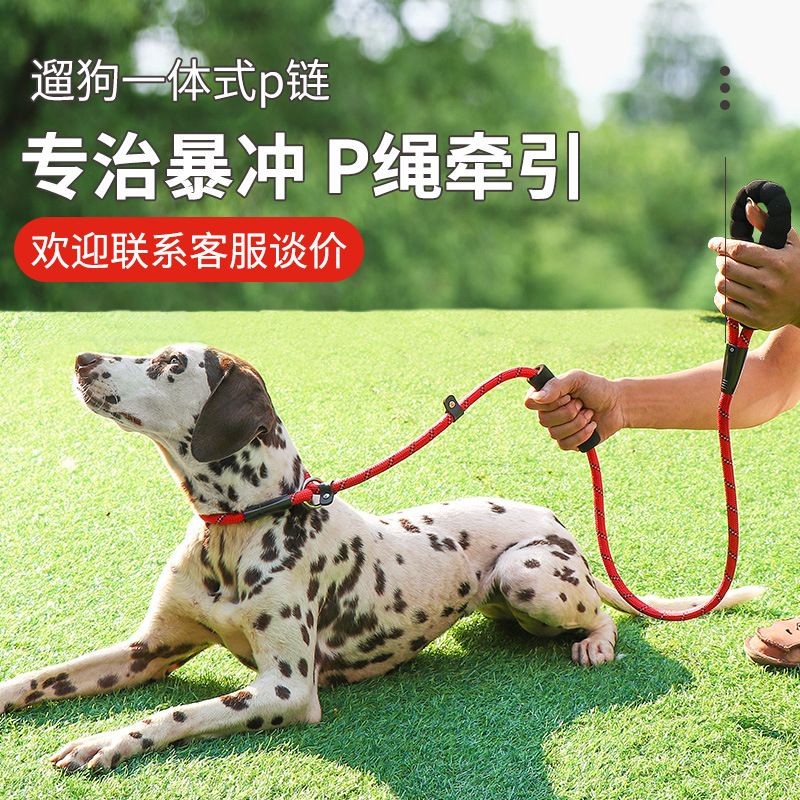 宠物用品p链防爆冲狗狗牵引绳户外遛狗尼龙绳子  泡棉把手狗链子
