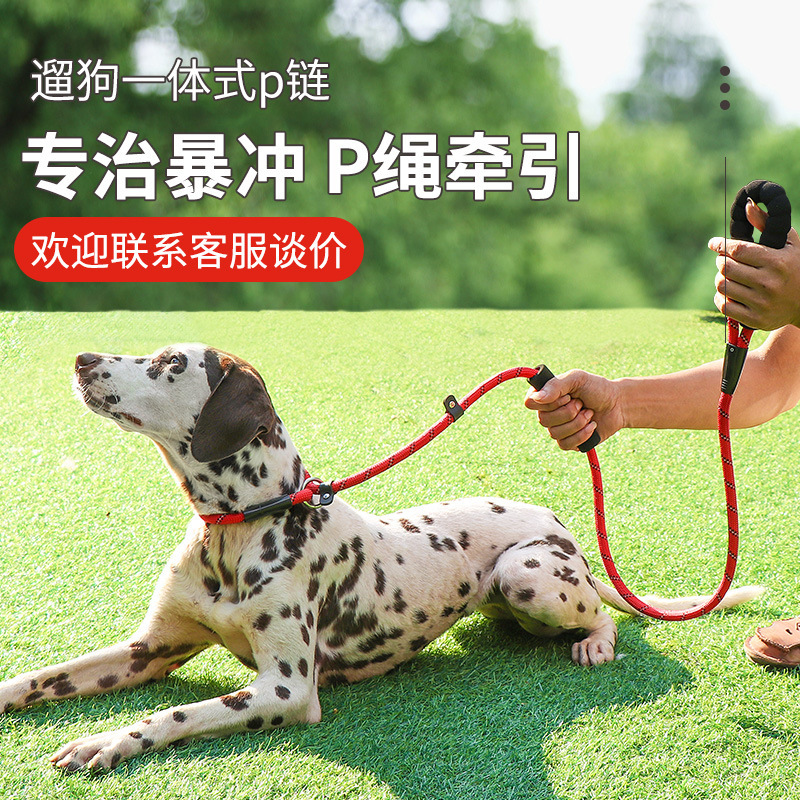 Pet Supplies P Chain Explosion-Proof Dog Leash Outdoor Dog Walking Nylon Rope Foam Handle Dog Chain