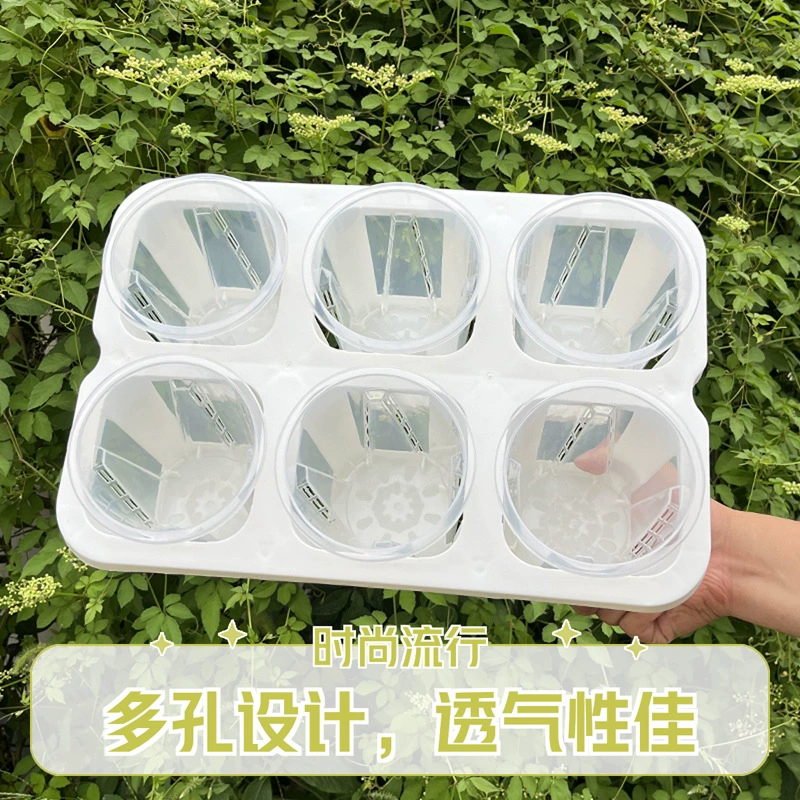 3-дюймовый цветочный горшок с шестью сетками