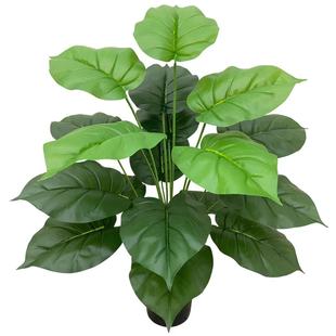 �S��ֱ�N����Gֲ�G�}�~�٘���滨�Ҿ��b�ܛ�bֲ���c���P��