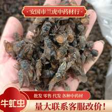 ��ș��ţ��x500g���l��ţ�nωţâţ���Ӹ�؛ţâ�������r��