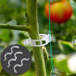 Wholesale gardening plant fixing clip tomato grafting clip binding vine clip binding branch snap plastic flower melon vine fixing