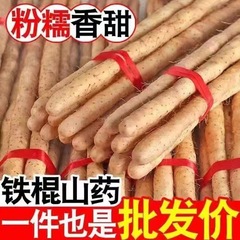 正品新鲜铁棍山药小白嘴山药淮山药铁杆山药多规格可选产地直发