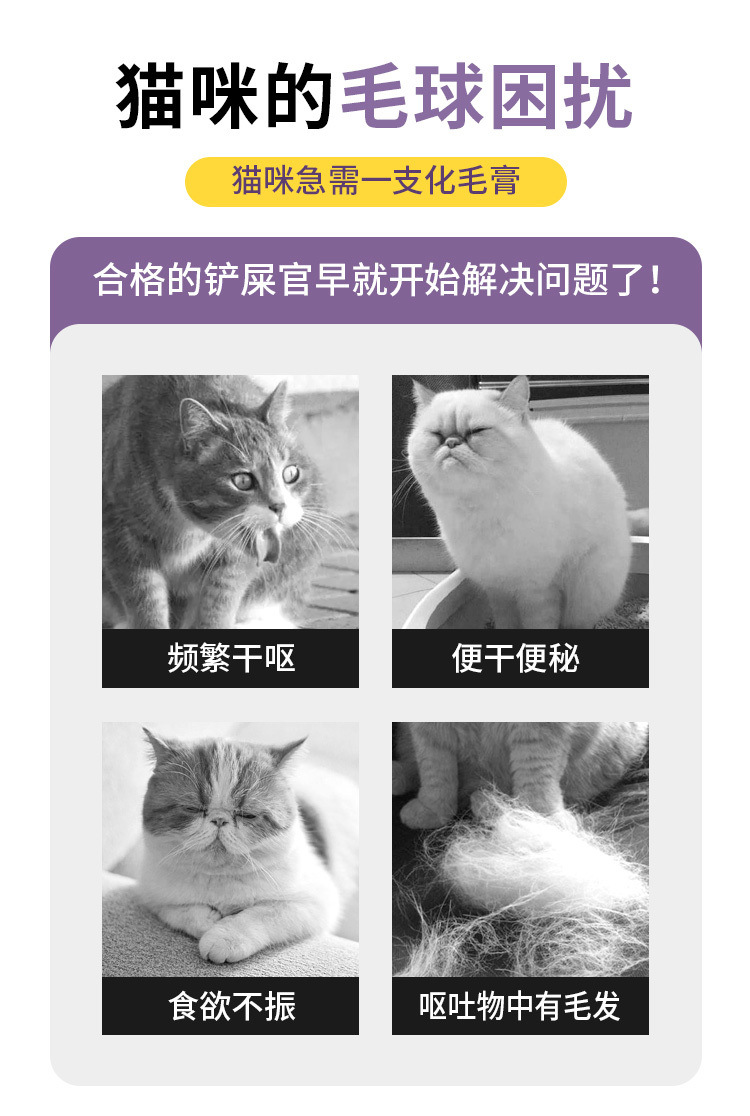 fc0506ce-82cd-4cbd-bcf1-7a55e783da13.jpe