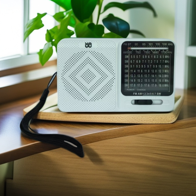 Radio multifunción portátil al por mayor transfronteriza batería seca recargable Semiconductor de doble uso para personas mayores en voz alta