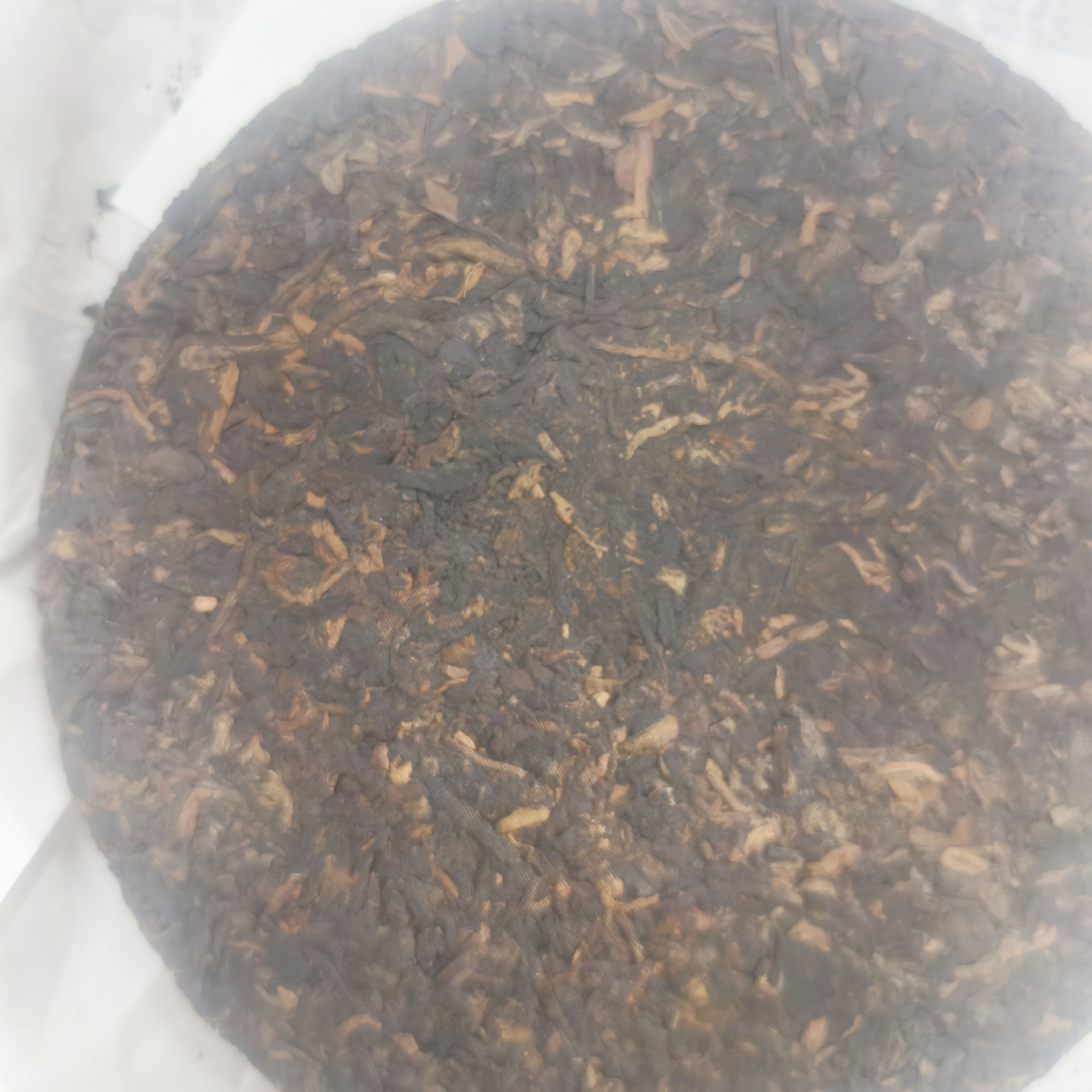 微信图片_2025-08-20_153805_545