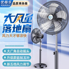 񘷹ILȓu^ſôLLȼ̨ʽ